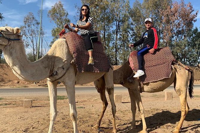Marrakech Luxery sunset Camel Ride - The Camel Ride Itself