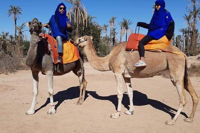 Marrakech Luxery sunset Camel Ride - Return to Marrakech