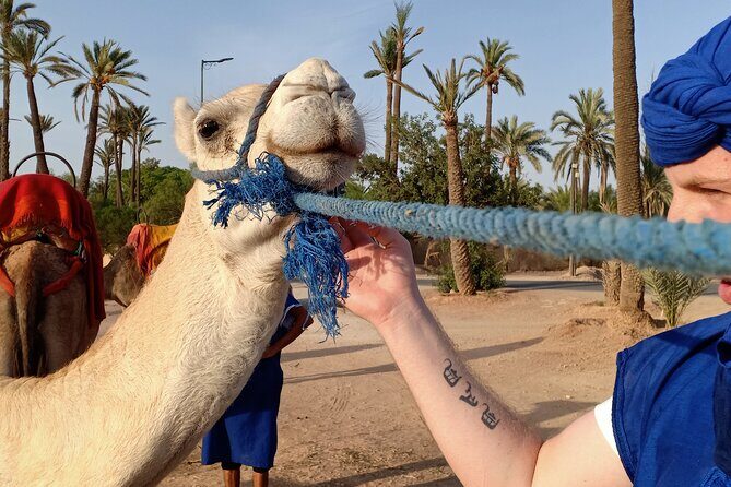Marrakech Luxery sunset Camel Ride - The Practical Details
