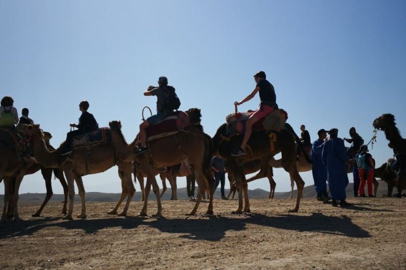 Marrakech: Magical Agafay Desert & sunset camel ride! - Key Points