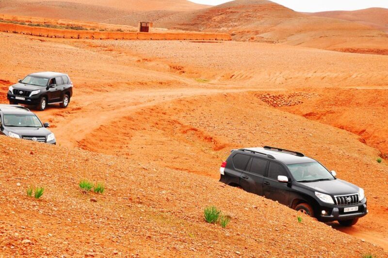 Marrakech: Magical Agafay Desert & sunset camel ride! - Final Thoughts: Who Is This Tour Best For?  