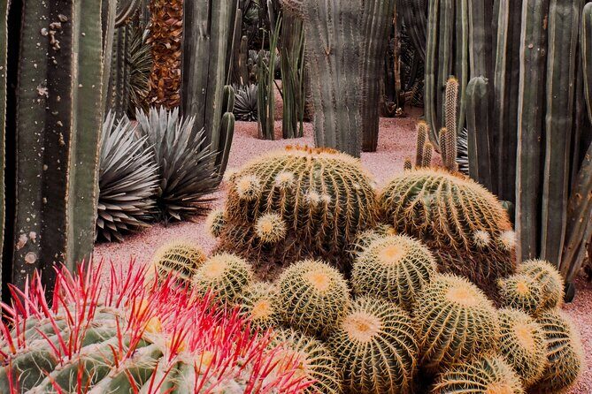 Marrakech Majorel garden entry ticket - Who Is This Experience Best For?