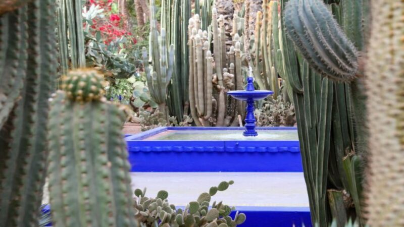 Marrakech: Majorelle Garden Entry Tickets Online - Key Points