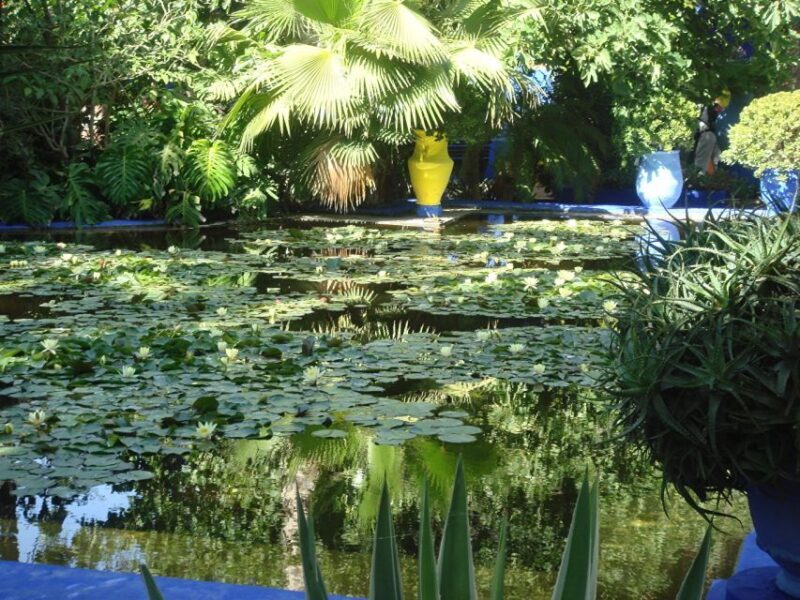 Marrakech: Majorelle Garden Entry Tickets Online - The Bottom Line: Is It Worth It?
