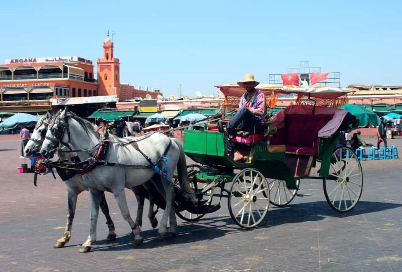 Marrakech: Majorelle Garden & Medina Tour with Carriage Ride - Authentic Insights from Past Travelers