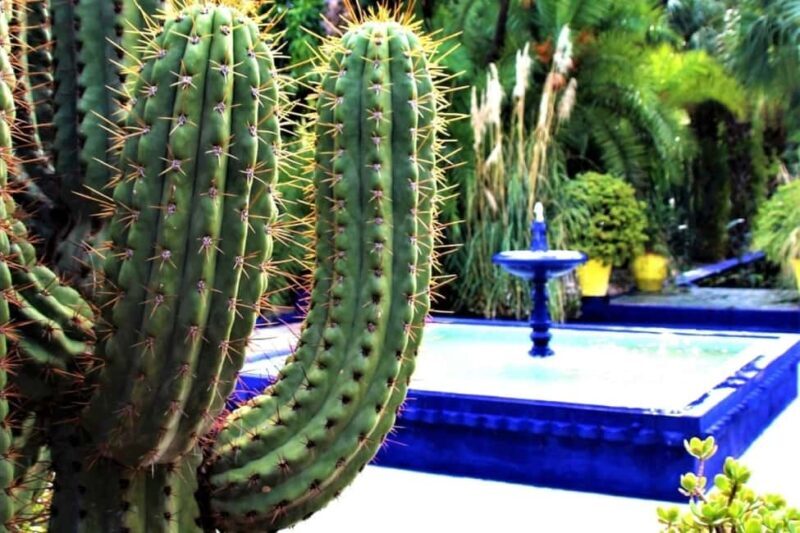 Marrakech: Majorelle Garden, Museums Tickets, & Audio Guide - Marrakech: Majorelle Garden, Museums Tickets, & Audio Guide – An In-Depth Review