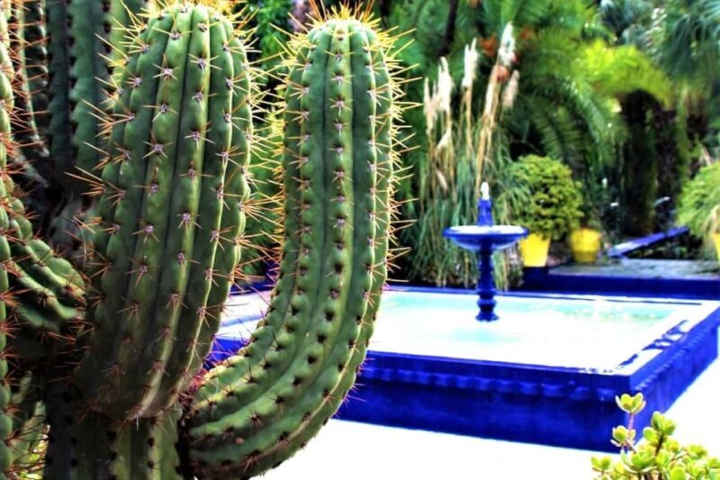 Marrakech: Majorelle Garden with a Digital Audio Guide App - An In-Depth Look at the Tour Experience