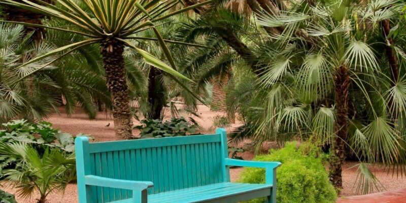 Marrakech: Majorelle Garden, YSL, and Berber Museum Entry - Practical Tips for Visitors
