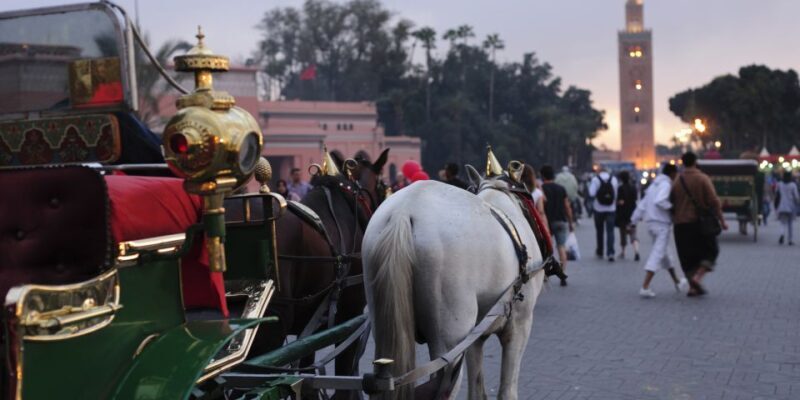 Marrakech: Majorelle & Menara Garden Tour and Carriage Ride - A Closer Look at the Tour Experience