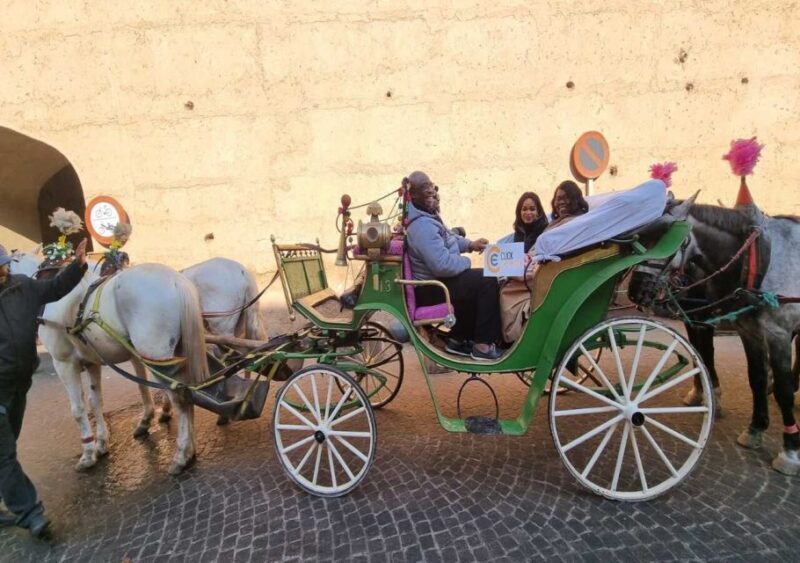 Marrakech: Majorelle & Menara Garden Tour and Carriage Ride - Who Will Enjoy This Tour?