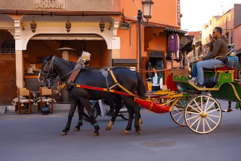 Marrakech: Majorelle & Menara Gardens visit & carriage tour - The Sum Up