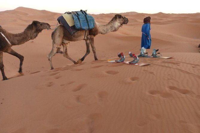 Marrakech - Merzouga desert - Marrakech 4 days tour - Who Should Book This Tour?
