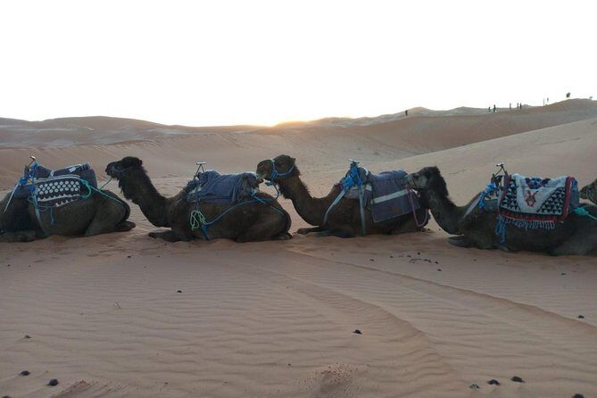 Marrakech - Merzouga desert - Marrakech 4 days tour - FAQ
