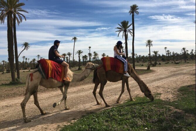 Marrakech Oasis Escape: Camel Ride & Quad Bike Adventure - Logistics and Practicalities