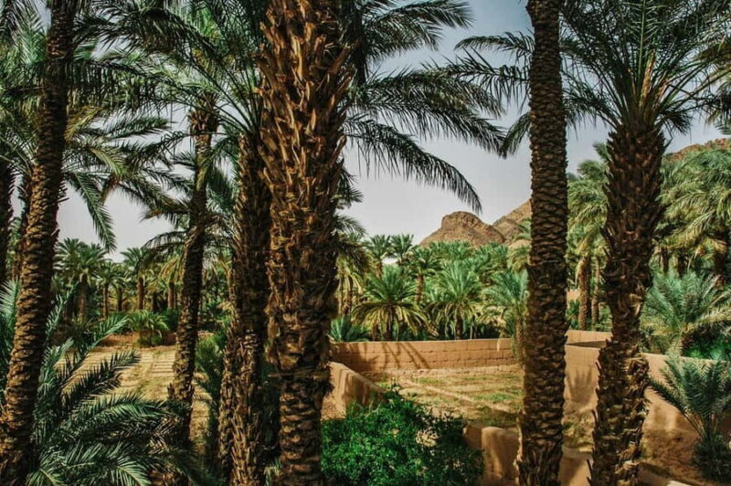 Marrakech/Ouarzazate: 2-Day Desert with Camel, 4x4 & Meals - Key Points