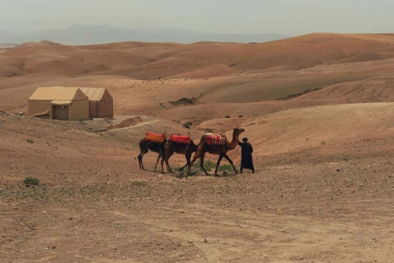 Marrakech/Ouarzazate: 2-Day Desert with Camel, 4x4 & Meals - The Itinerary: A Day-by-Day Breakdown