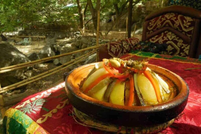 Marrakech: Ourika Valley and Atlas Mountain Excursion - What to Expect from the Ourika Valley and Atlas Mountain Tour