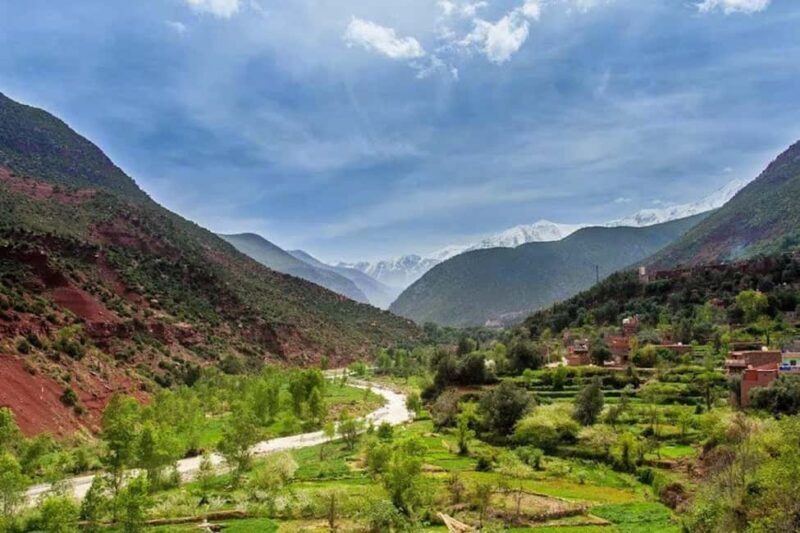 Marrakech: Ourika Valley and Atlas Mountain Excursion - Why This Tour Offers Great Value