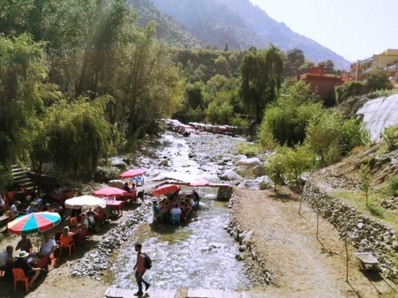 Marrakech: Ourika Valley and Atlas Mountains Day Trip - Final Thoughts