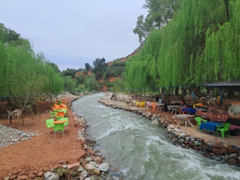 Marrakech: Ourika Valley and Atlas mountains Day trip - Guides and Language Skills