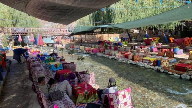 Marrakech: Ourika Valley and Waterfalls Day Trip with Guide - Who Should Consider This Tour?