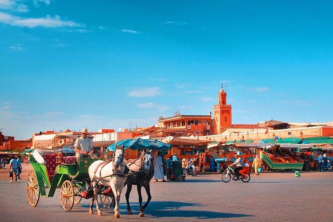 Marrakech : Ourika Valley & Anima Garden Full-Day Trip - Key Points