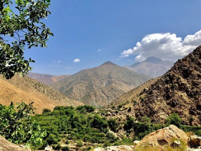 Marrakech: Ourika Valley & Atlas Mountains Half-Day Trip - Final Thoughts