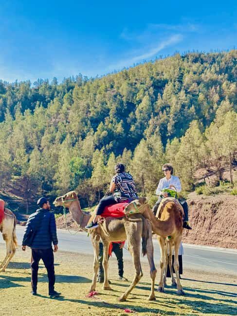 Marrakech: Ourika Valley, Atlas Mountains, Waterfall & Lunch - FAQ