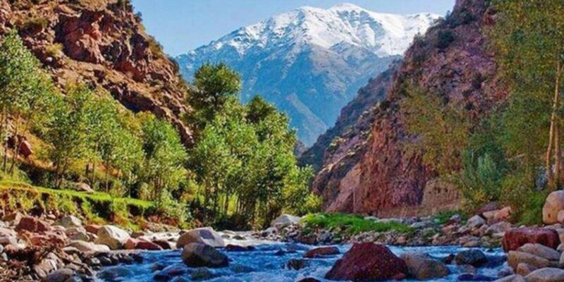 Marrakech: Ourika valley day trip, Guided & Camel tours - Key Points
