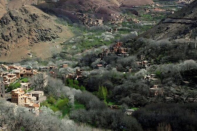 Marrakech: ourika valley day trip lunch and hike to waterfulls - The Sum Up