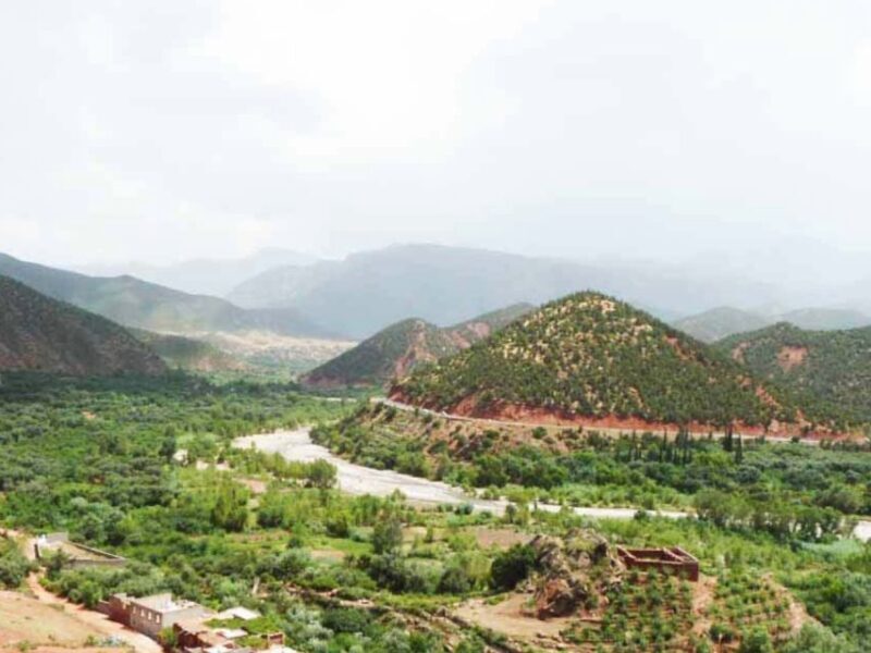 Marrakech: Ourika Valley Day Trip with Berber Village - Key Points