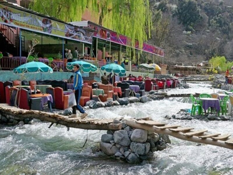Marrakech: Ourika Valley Day Trip with Berber Village - Practical Details and Transportation
