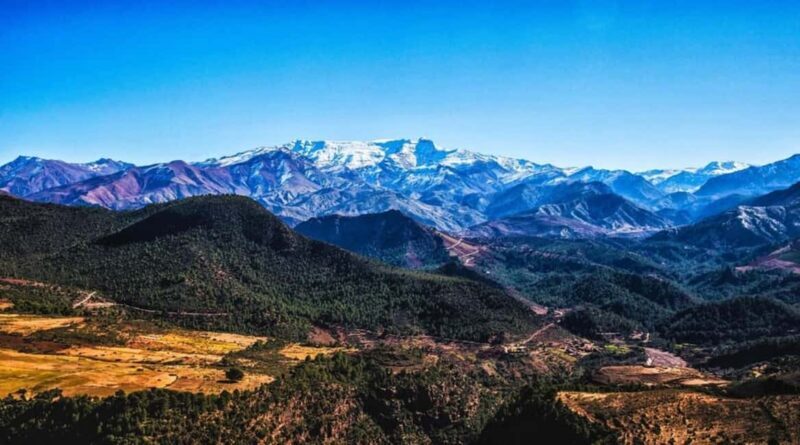 Marrakech: Ourika Valley Day Trip with Waterfall Hike - The Sum Up