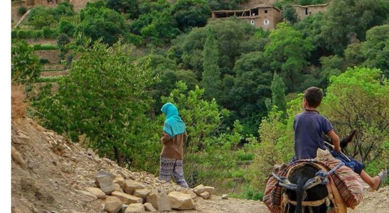 Marrakech: Ourika Valley, Lunch, & Guided Hike to Waterfalls - Final Thoughts