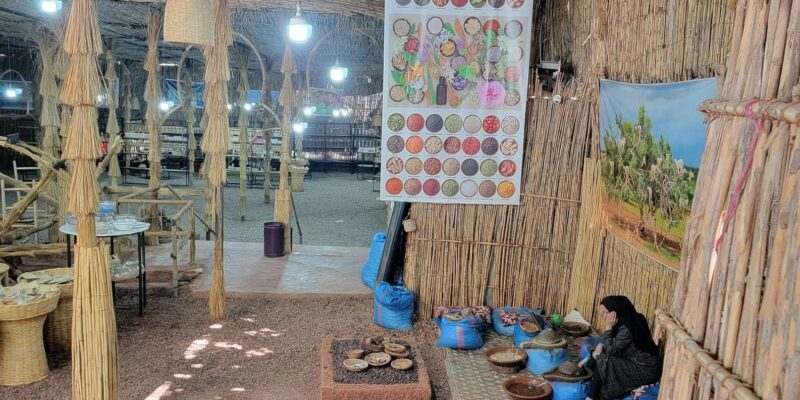 Marrakech : Ourika Valley,Atlas Mountains ,Waterfalls &Guide - Authentic Insights from Travelers