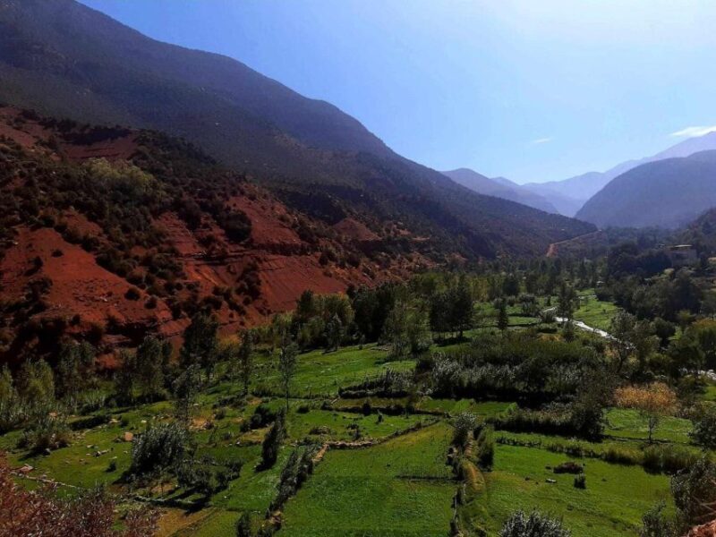 Marrakech: Ouzoud Waterfall, Guided Hike, Boat Ride & Lunch - Final Thoughts: Is This Tour Worth It?
