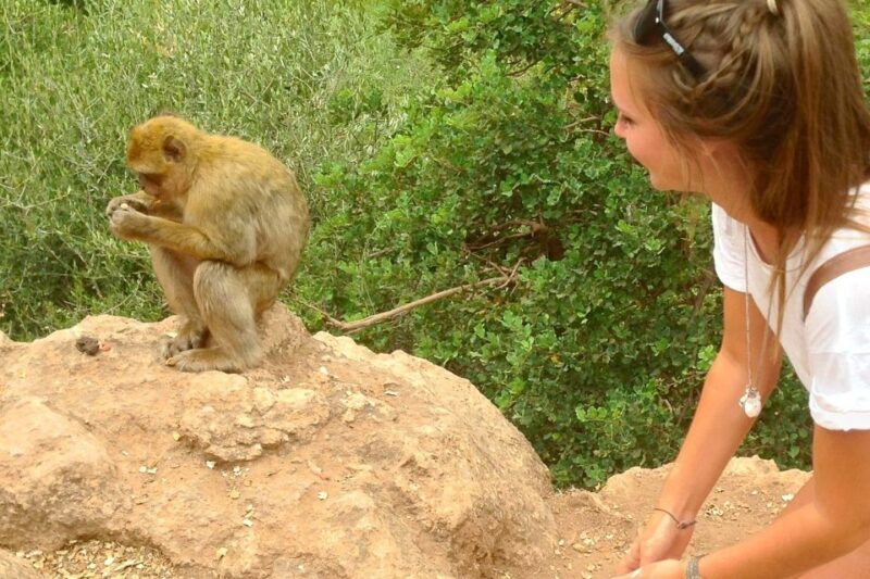Marrakech: Ouzoud Waterfalls Guided Day Trip with Boat Ride - Key Points