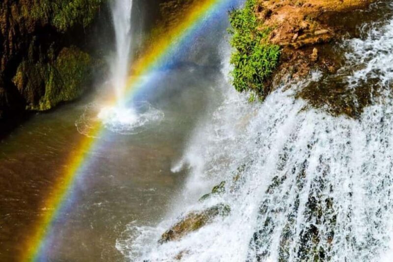 Marrakech: Ouzoud Waterfalls Trip, Guided Hike & Boat Option - Why This Tour Offers Great Value