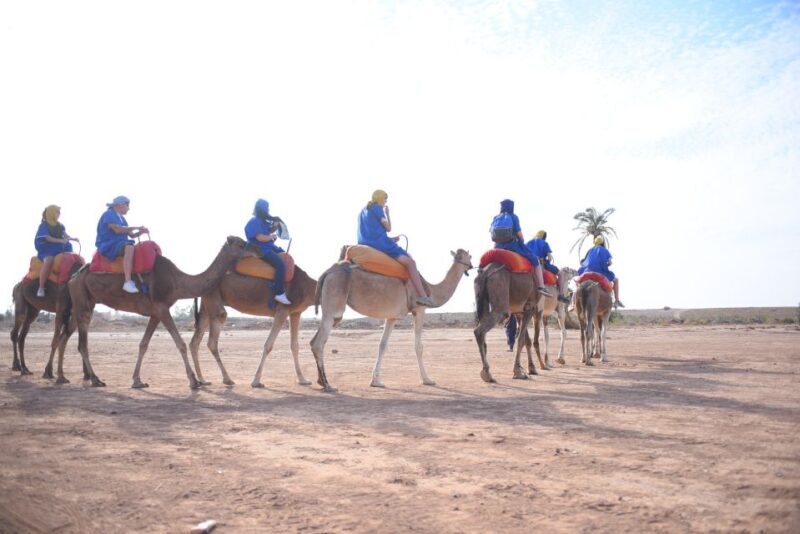 Marrakech: pack quad and camel ride in the palm grove - Practical Tips for Travelers