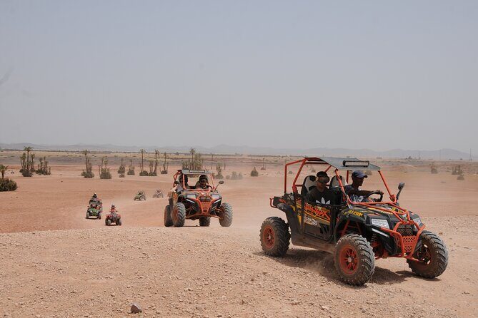Marrakech Palm Grove 2-Hour Quad Biking Adventure. - Practical Details & Considerations