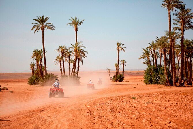 Marrakech Palm Grove 2-Hour Quad Biking Adventure. - Authenticity & Experience: What Reviewers Say
