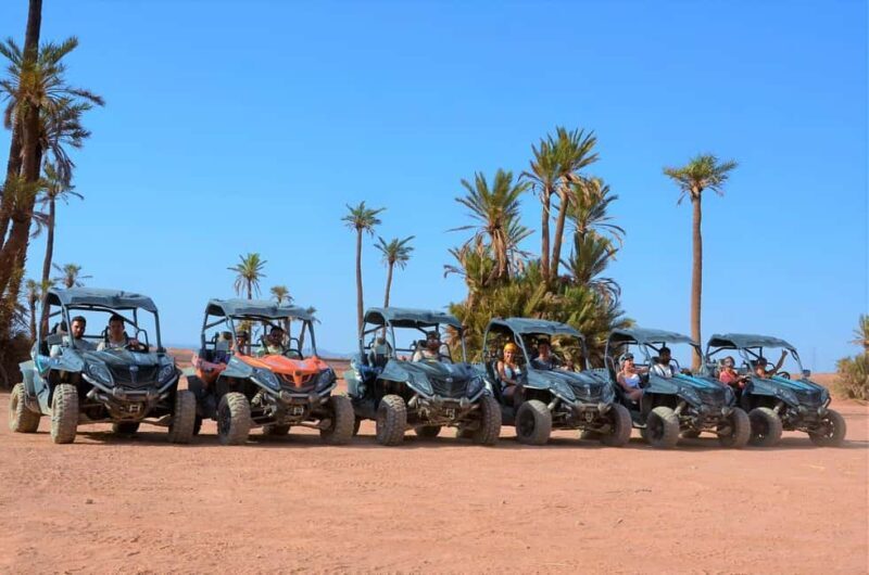 Marrakech: Palm Grove and Desert Buggy excursion - Final Thoughts: Who Is This Tour For?
