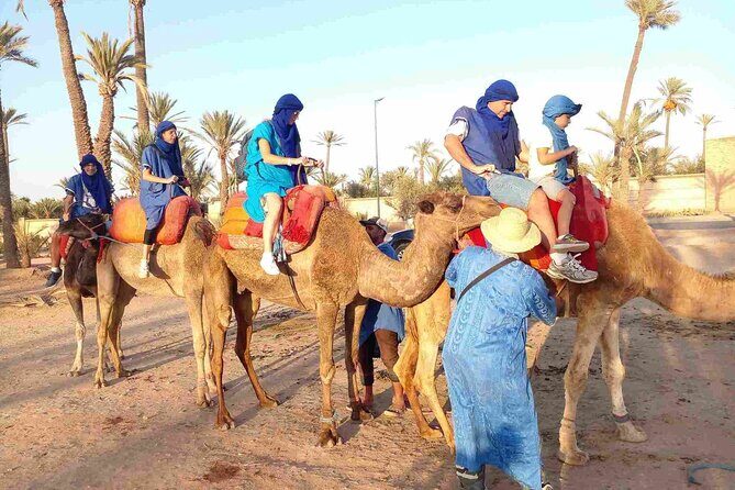 Marrakech Palm Grove Camel Ride with Tea-Break - The Experience: What to Expect from Start to Finish