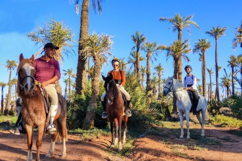 Marrakech: Palm Grove Horseback Riding Tour - Key Points