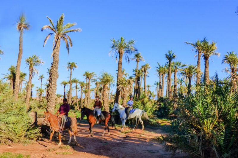 Marrakech: Palm Grove Horseback Riding Tour - Final Thoughts