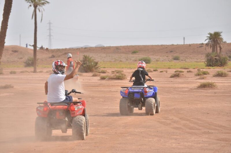 Marrakech: Palm Grove Quad Bike Tour - Key Points