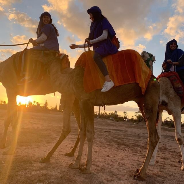 Marrakech palm grove: Sunset camel ride - Watching the Sunset from the Oasis