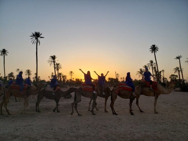 Marrakech palm grove: Sunset camel ride - Considerations and Tips