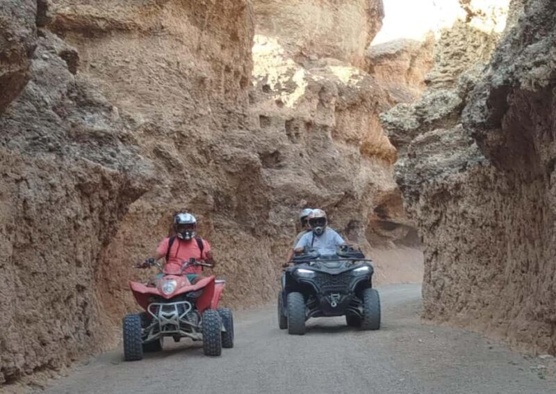 Marrakech: Palm Oasis Quad Bike Tour with Tea - Marrakech: Palm Oasis Quad Bike Tour with Tea — An Authentic Moroccan Adventure