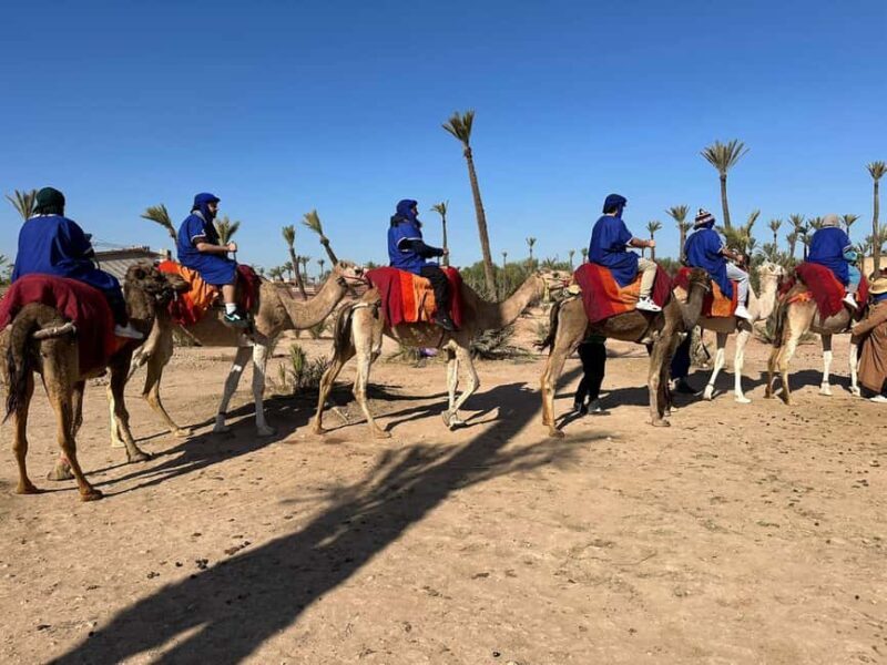 Marrakech Palmeraie Camel Ride Adventure - Marrakech Palmeraie Camel Ride Adventure — A Genuine Moroccan Experience